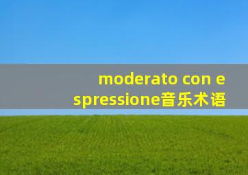 moderato con espressione音乐术语